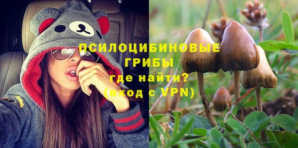 твердый Балахна