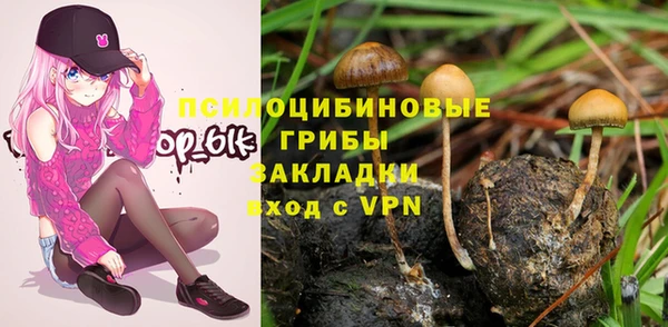 твердый Балахна