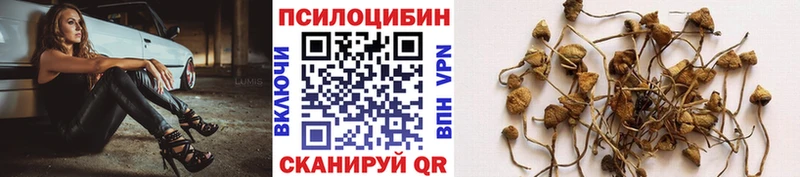 Псилоцибиновые грибы прущие грибы  Котельниково 
